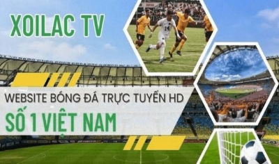 Trực tiếp bóng đá Xoilac TV - Chất lượng 4K miễn phí tại https://greenparkhadong.com/